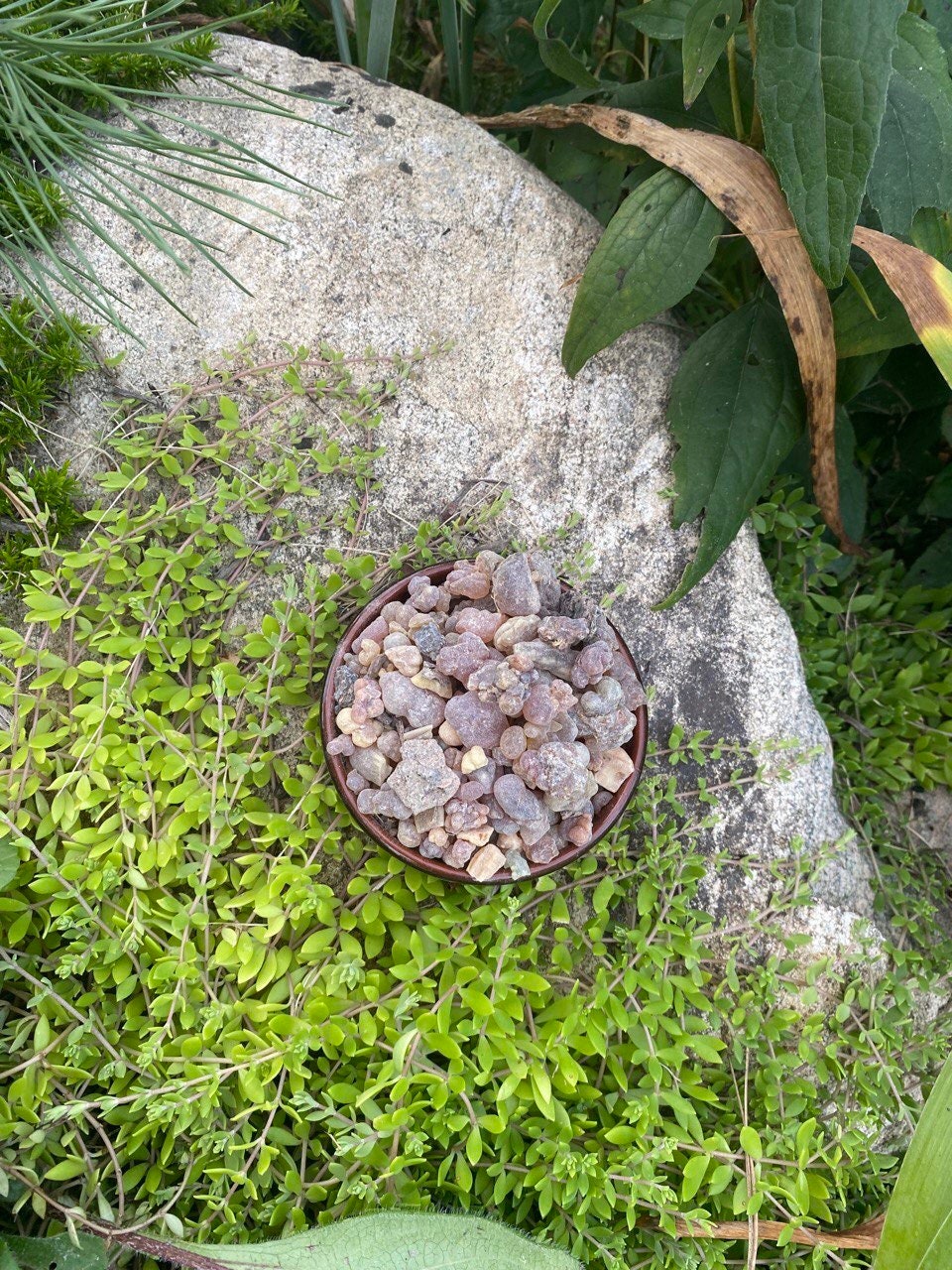 AUTHENTIC AFRICAN Frankincense/Oliban/Olibanum incense,Barkhanté from Mali.