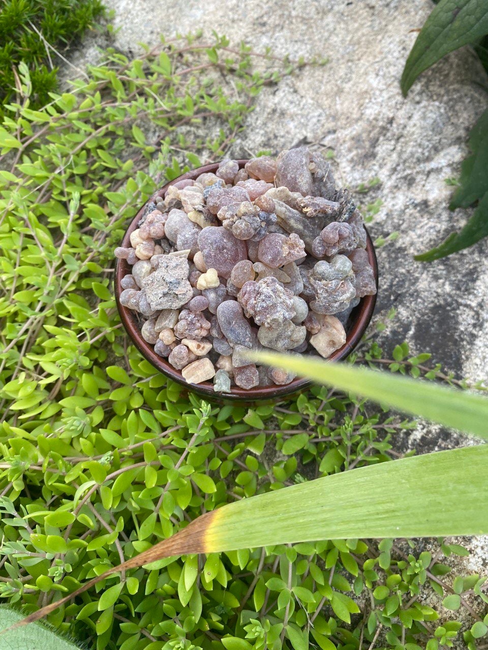 AUTHENTIC AFRICAN Frankincense/Oliban/Olibanum incense,Barkhanté from Mali.