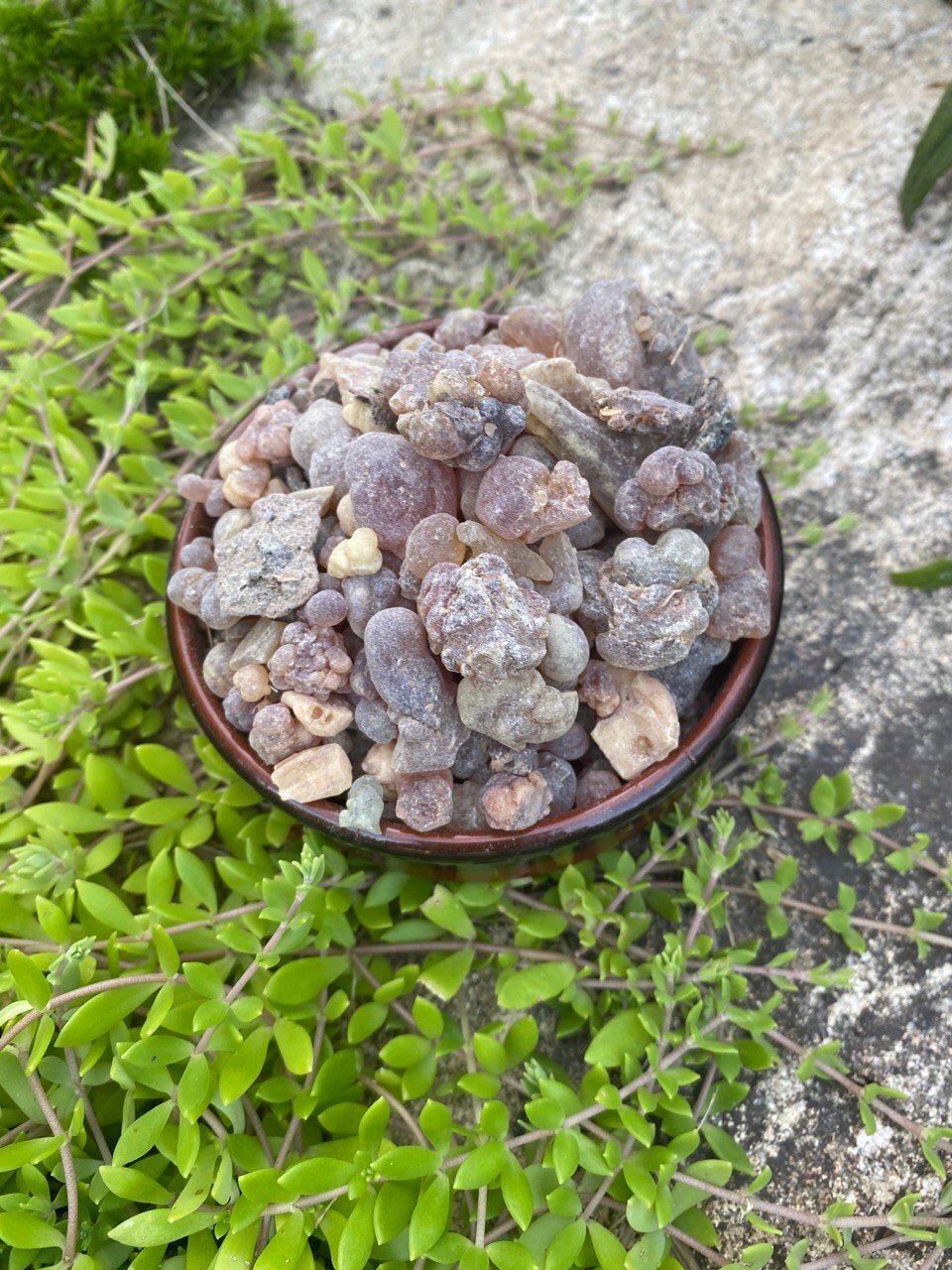 AUTHENTIC AFRICAN Frankincense/Oliban/Olibanum incense,Barkhanté from Mali.